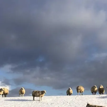 Tief 10 7 * Schillig