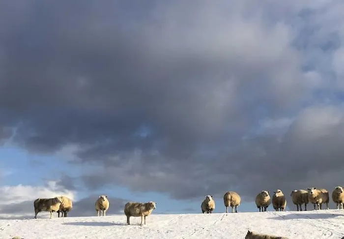 Tief 10 7 * Schillig