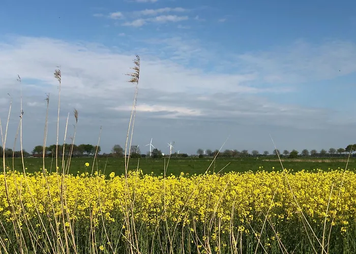 Tief 10 7 * Schillig