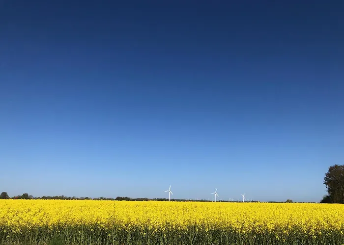 Tief 10 7 Apartman Schillig