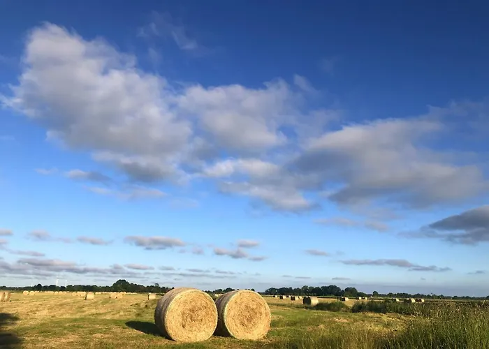 Tief 10 7 Apartman Schillig