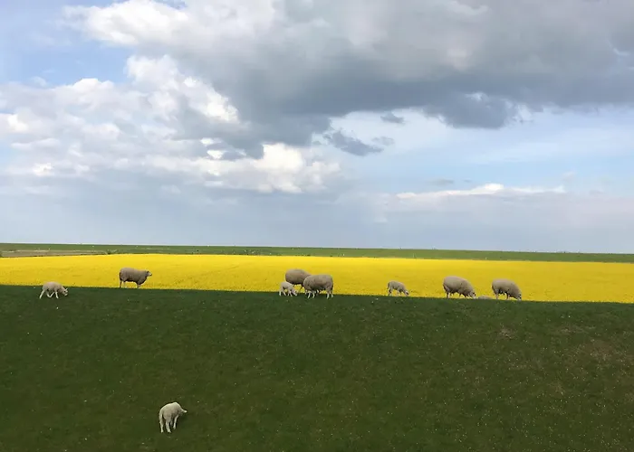 Tief 10 7 * Schillig